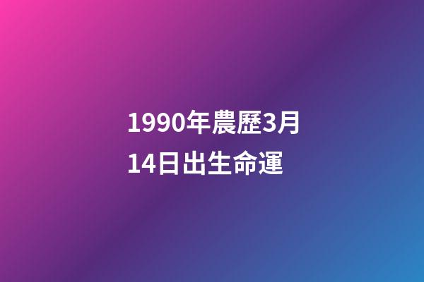 1990年農歷3月14日出生命運 (1990年3月14日陽歷)